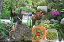 Mê mẩn vườn rau đón Tết 150m2 ở Malaysia của bà mẹ Việt