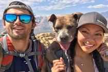Chú chó từng bị bạo hành bỗng "đổi đời", đi phượt khắp nơi