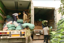 Chuyện chưa kể về chuyên án bắt lô gỗ đinh hương tiền tỷ