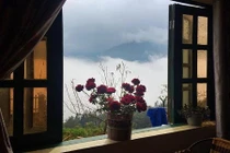 Đến Sa Pa, ở homestay mở cửa là thấy cả một biển mây 