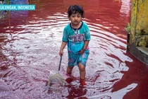 Sự thật về "dòng sông máu" làm ngập ngôi làng ở Indonesia
