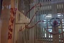 Có nạn nhân đã phải tìm đến cái chết khi sa bẫy app “tín dụng đen“