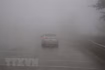 Khu vực Bắc Bộ có mưa nhỏ, mưa phùn kèm sương mù ngày 26/1