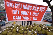 Ùn tắc cửa khẩu, hàng chục tấn mít quay đầu về Hà Nội chờ "giải cứu"