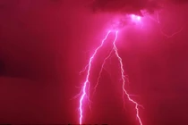 Nguồn điện trong sét có thể phá huỷ mọi thứ nhưng vô hại với cá