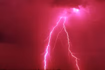 Nguồn điện trong sét có thể phá huỷ mọi thứ nhưng vô hại với cá