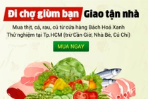 Đi chợ hộ tăng mạnh tại TP HCM: Chọn App nào tiện, nhanh?