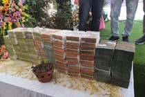 Lý do khó xử lý vụ bán lan đột biến 250 tỷ ở Quảng Ninh