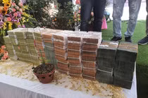 Lý do khó xử lý vụ bán lan đột biến 250 tỷ ở Quảng Ninh