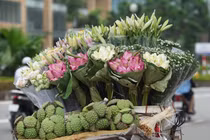 Thất thu vì vắng người chụp ảnh, chủ vườn nâng giá sen để... gỡ vốn