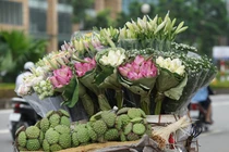 Thất thu vì vắng người chụp ảnh, chủ vườn nâng giá sen để... gỡ vốn