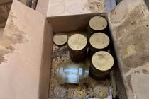 Chuyên gia bắt bệnh vì sao Gong Cha càng "kêu oan" càng trầm trọng