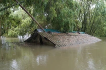 Mưa lớn kéo dài, hàng trăm hộ dân tại Hà Nội ngập sâu trong nước