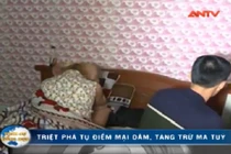 Chứa gái mại dâm lấy tiền hút chích