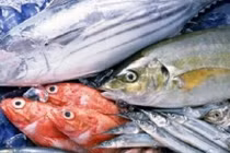 Cách phân biệt cá sạch và cá tẩm hóa chất