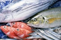 Cách phân biệt cá sạch và cá tẩm hóa chất