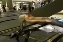 Phản cảm cảnh gái trẻ nghịch dại với thang máy