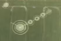 Vòng tròn "ngoài hành tinh" xuất hiện trên cánh đồng ở Nga