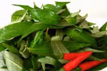 Những công dụng ít biết của rau răm