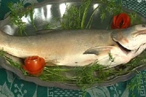 Cách làm cá ngứa hấp dưa chuẩn vị xứ Nghệ