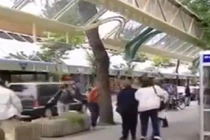 Đau tim trò đùa giả ô tô điên trên phố