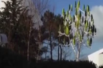 Độc đáo cây nhân tạo có thể tạo ra điện năng