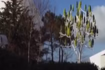 Độc đáo cây nhân tạo có thể tạo ra điện năng