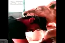 Kinh hoàng sư tử ngoạm cả đầu người