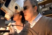 Đột phá y học: Dùng tia laser chữa lành vết thương