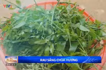 Khám phá đặc sản rau sắng Chùa Hương