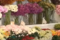 Mách bạn gái mẹo hay giữ hoa tươi lâu