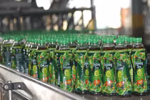 Bí quyết nhẹ người, tỉnh trí với trà Ô Long Không Độ Linh Chi