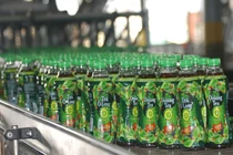 Bí quyết nhẹ người, tỉnh trí với trà Ô Long Không Độ Linh Chi