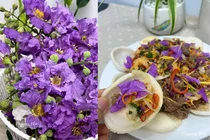 Măng cụt hết kiếp nạn, netizen truyền tay nhau món gỏi hoa bằng lăng