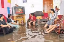 Loạt ảnh hài hước về chứng “nghiện" tivi