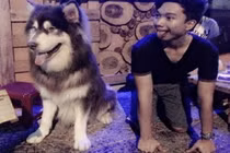 Ảnh cười Facebook: Tớ nào chủ nấy!