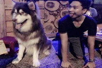 Ảnh cười Facebook: Tớ nào chủ nấy!