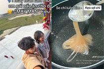 Nấu ăn cho anh trai, cô gái khiến người thưởng thức khiếp tới già