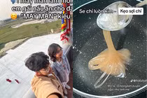 Nấu ăn cho anh trai, cô gái khiến người thưởng thức khiếp tới già