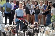 Trai trẻ dắt bầy thú cưng đi dạo