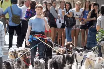 Trai trẻ dắt bầy thú cưng đi dạo