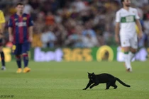 Khách “vận đen” hai lần ghé thăm, Barca vẫn thắng tưng bừng