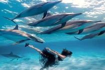 Đã mắt với hình ảnh siêu thực tuyệt đẹp (2)