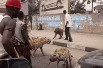 Ảnh độc chỉ có ở châu Phi (6)