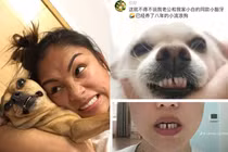 Loạt ảnh minh chứng “chủ nào chó nấy” khiến ai cũng buồn cười