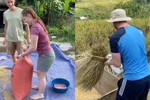 Độc lạ Việt Nam: Khách Tây bỏ tiền để làm nông dân