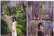 Giới trẻ nô nức chụp ảnh cùng “hoa tình yêu“