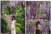 Giới trẻ nô nức chụp ảnh cùng “hoa tình yêu“