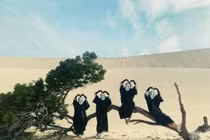 Outfit đi du lịch cho nhóm bạn thân gây ấn tượng cực mạnh