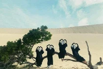 Outfit đi du lịch cho nhóm bạn thân gây ấn tượng cực mạnh